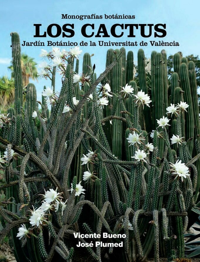 Guida Al Cactus Cholla. Come Coltivare E Prendersi Cura Di Cylindropuntia